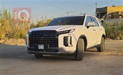 هیوندای پالیسەید